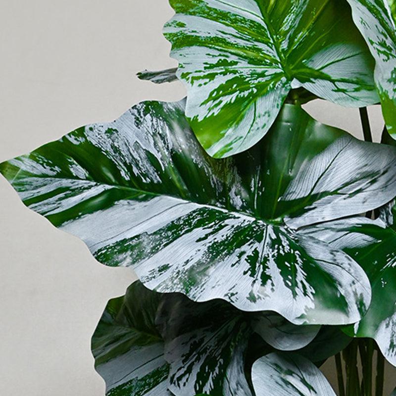 Faux Caladium Leaf Artificial Plant With Black Plastic Pot - 79 cm (2.6 ft) media 4