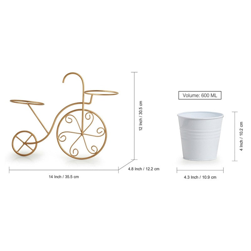 Cycle Ride Wall Planter media 7