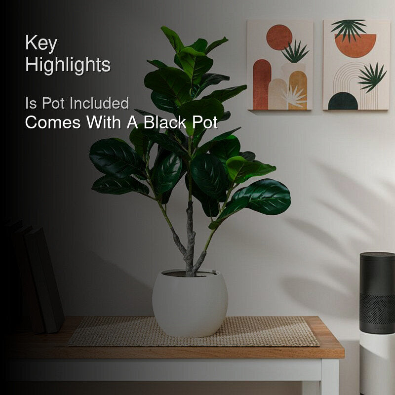 Faux Everlasting Fiddle Leaf Fig  Plant With Black Plastic Pot - 95 cm (3.1 ft) media 2
