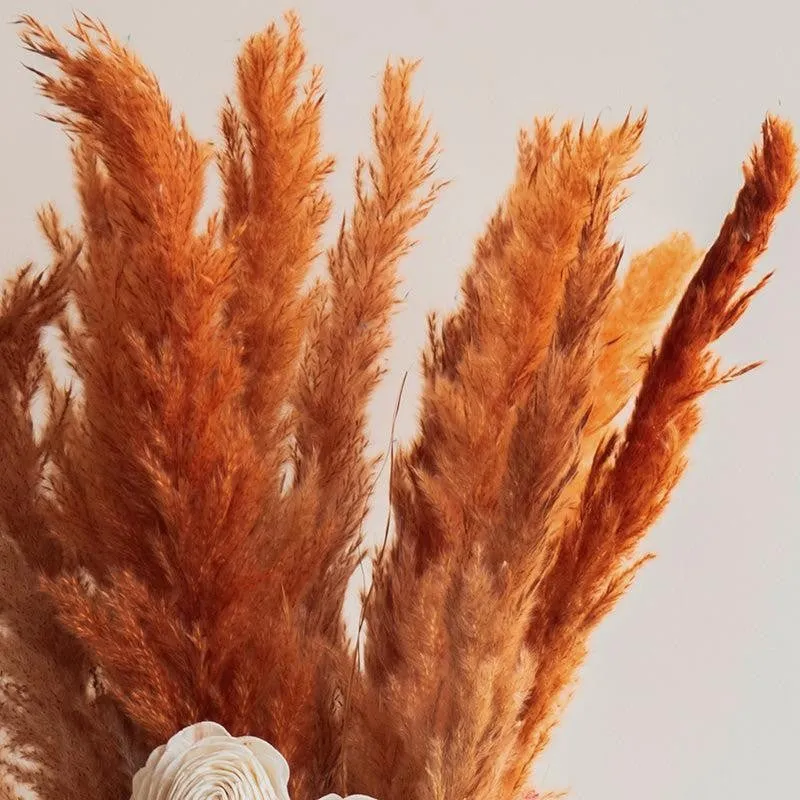 Sittora Pampas Bunch (Honey) - Set Of Fourteen media 4