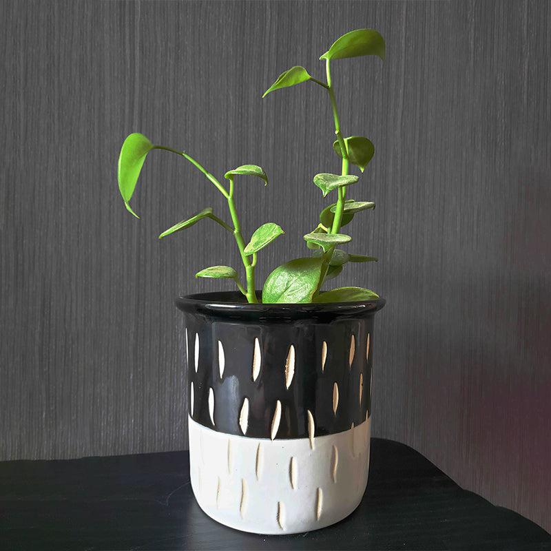 Silsy Boho Handmade Ceramic Planter media 2