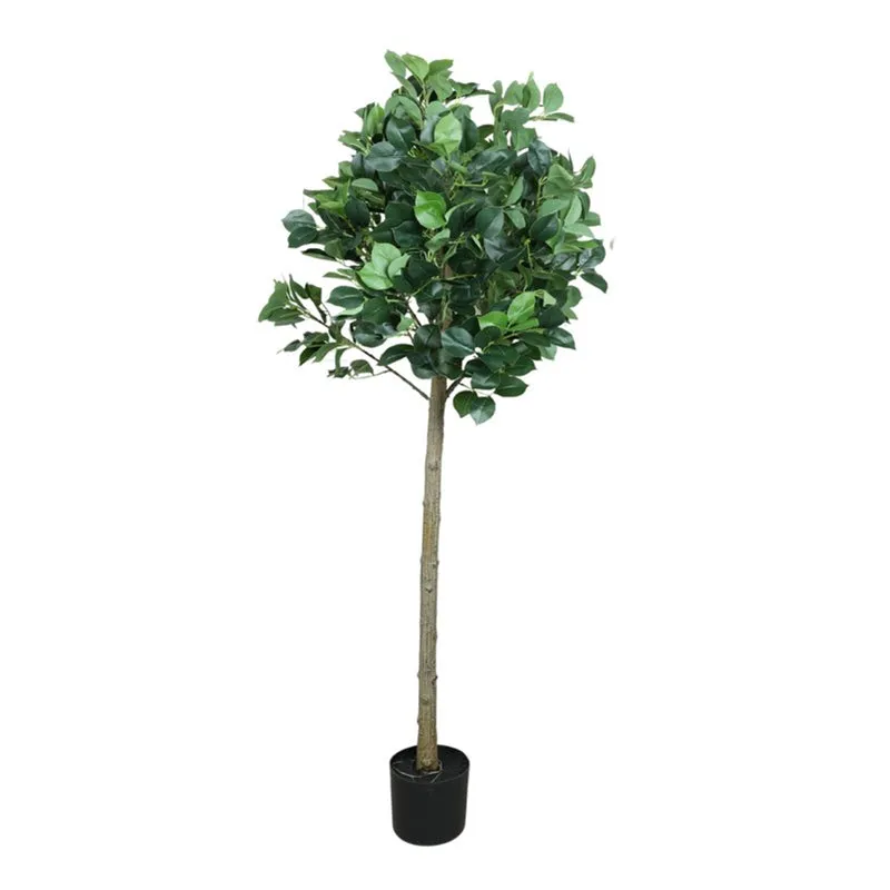 Verdiq Artificial Ginko Plant With Black Fiber Pot - 5 Feet media 4