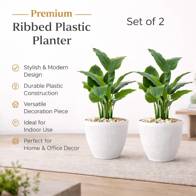 BloomBin Planters (White) - Set Of Two media 6