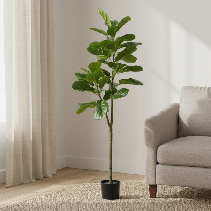 Leafsy Artificial Fiddle Fig Plant With Black Plastic Pot - 2.5 Feet media 3
