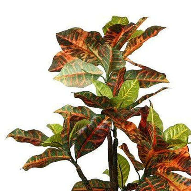 Faux Tall Croton Bonsai In Ceramic Pot - 41 cms media 3