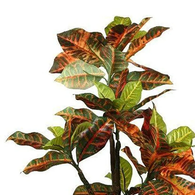 Faux Tall Croton Bonsai In Ceramic Pot - 41 cms media 3