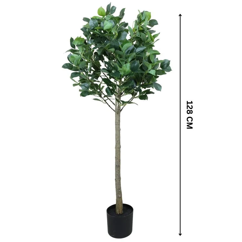 Artificial Topiary Camelia Leaf Plant With Black Fiber Pot - 4.2 Feet media 6