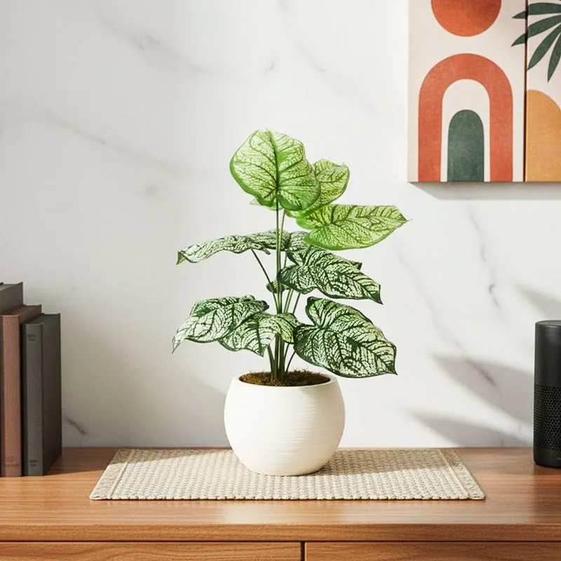 Faux Lush Light Green Monstera Plant With Black Plastic Pot - 1.8 Feet media 1