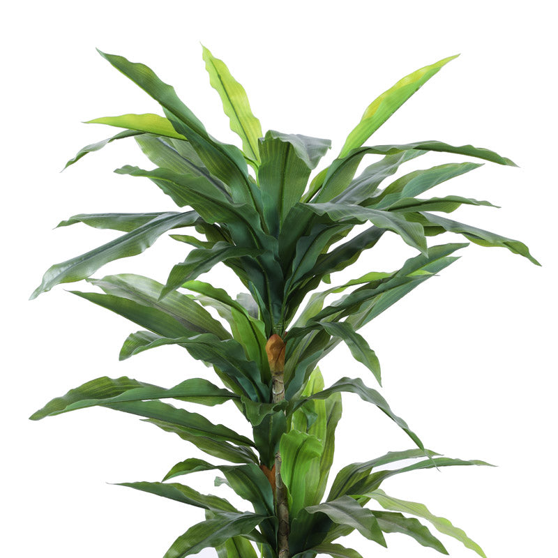 Artificial Realistic Dracaena Plant With Black Plastic Pot - 5.6 Feet image 6