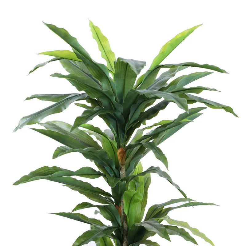 Artificial Realistic Dracaena Plant With Black Plastic Pot - 5.6 Feet media 6