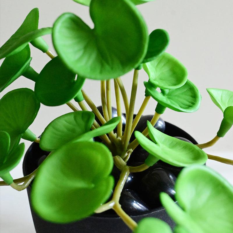 Pennelle Artificial Pennywort Leaf With Black Plastic Pot (Dark Green) - 13 cm media 5