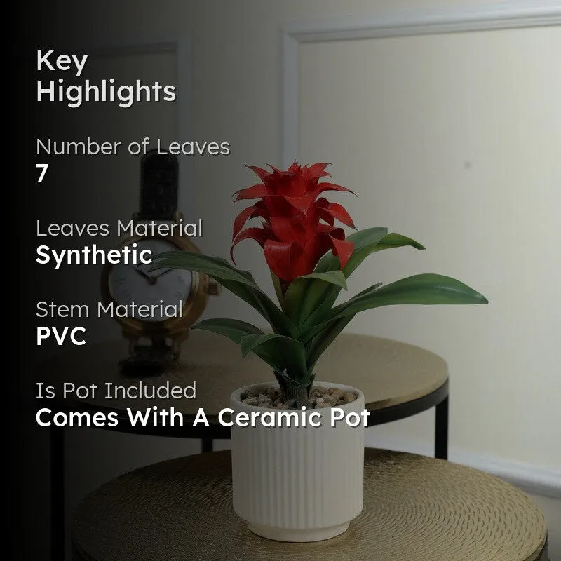 Artificial Red Ginger Lily Bonsai Plant With Ceramic Pot - 0.7 Feet media 2