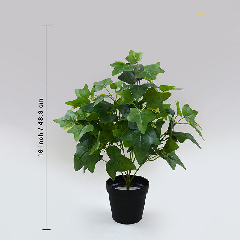 Faux Everlasting Japanese Ivy Plant With Black Plastic Pot - 48 cm media 5