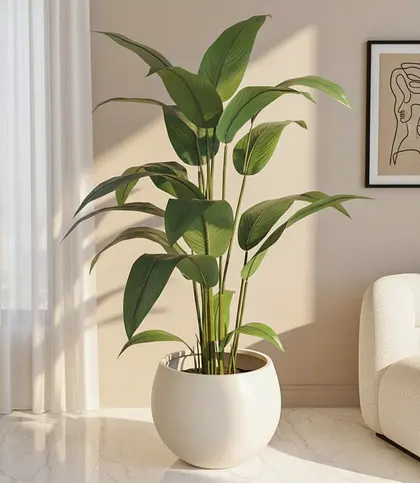 Polyester · PU(Polyurethane) · Plastic
