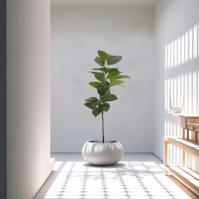 Leafessa Artificial Fiddle Fig Plant With Black Plastic Pot - 3.1 Feet media 5