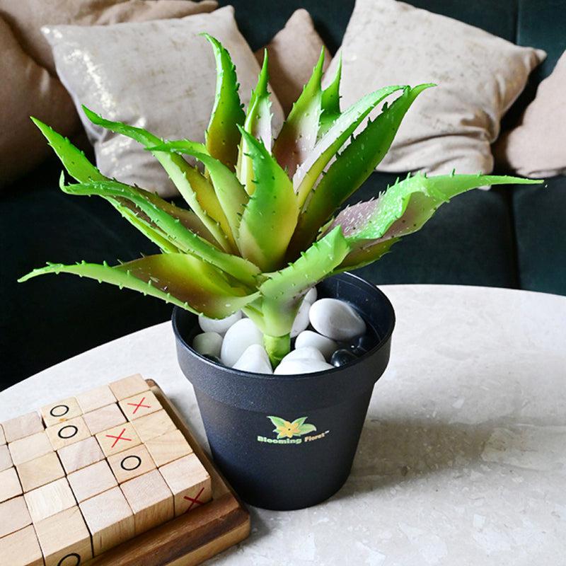 Alvera Artificial Aloe Vera Plant With Black Plastic Pot - 24 cm media 5