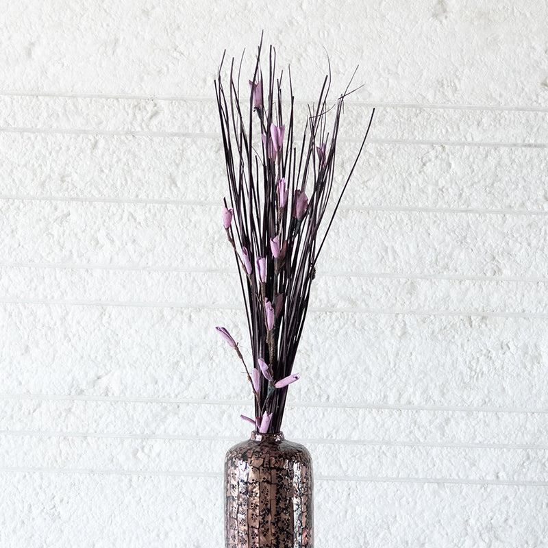 Dalfrina Dried Stem