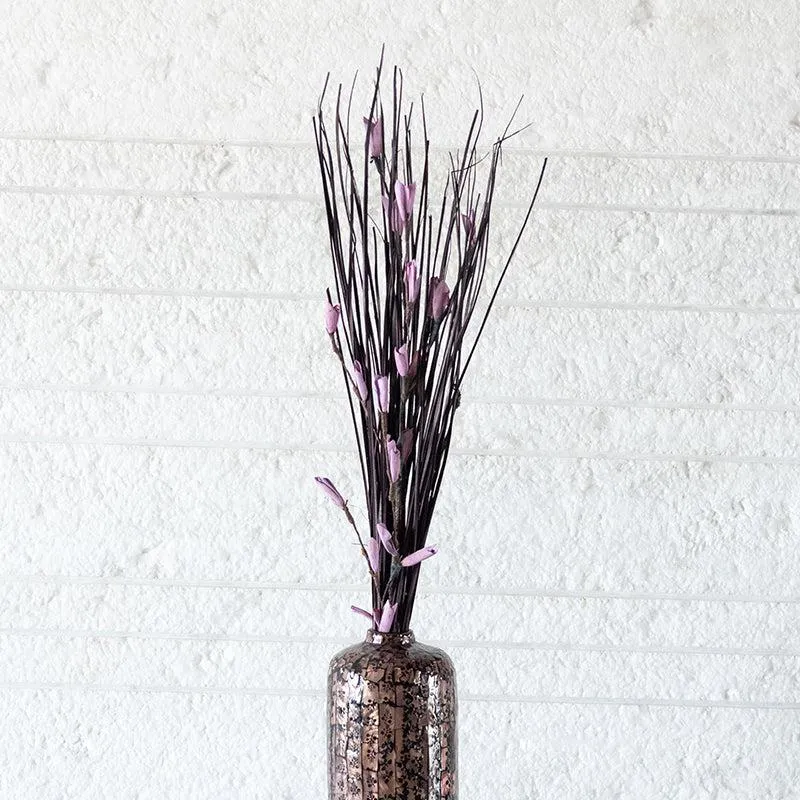 Dalfrina Dried Stem media 1