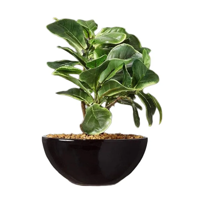 Faux Fiddle Bonsai In Bowl Pot - 29 cms media 3