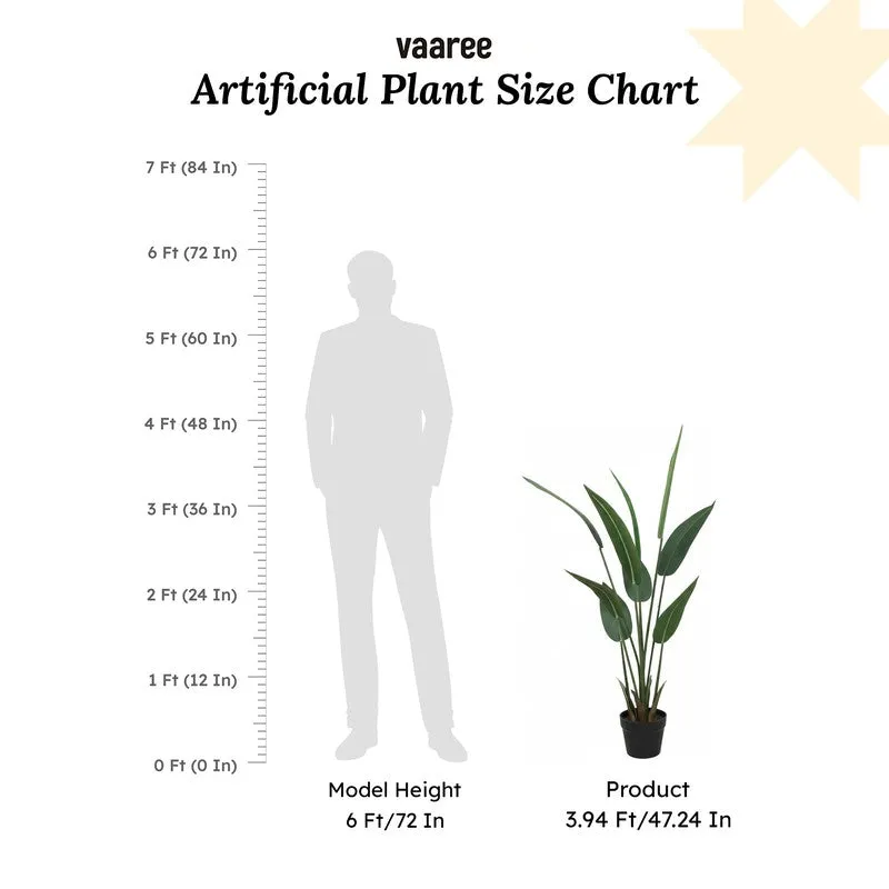 EverFresh Banana Plant With Black Fiber Pot - 3.6 Feet media 9