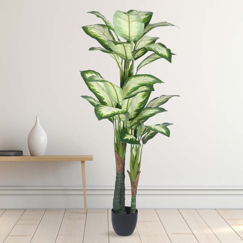 Faux Lush Variegated Dieffenbachia Plant With Black Plastic Pot - 5.2 Feet media 3