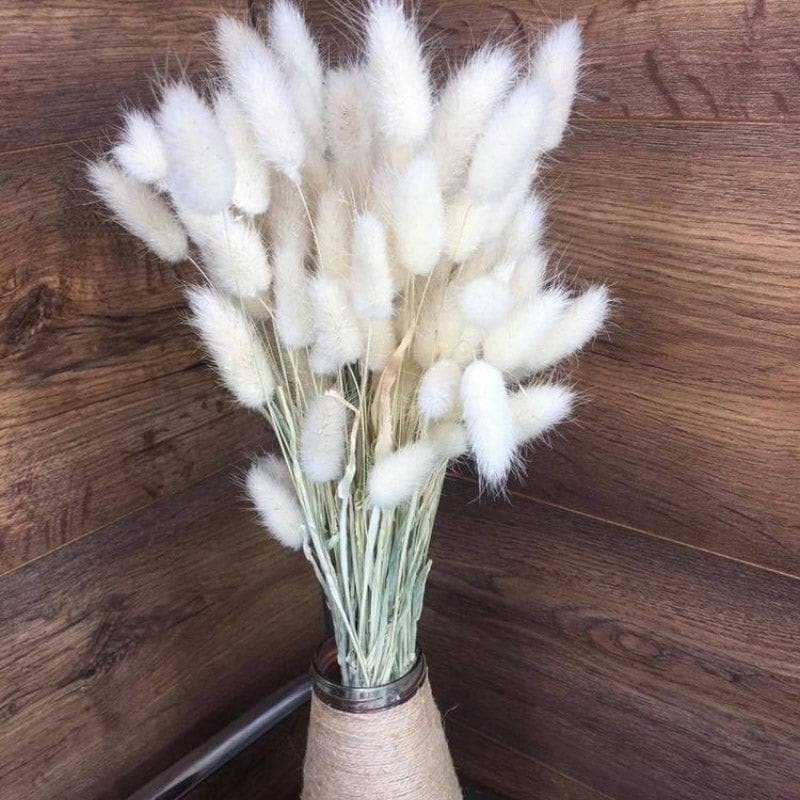 Naturally Dried Bunny Tail Stems (White) - Set Of Thirty media 4