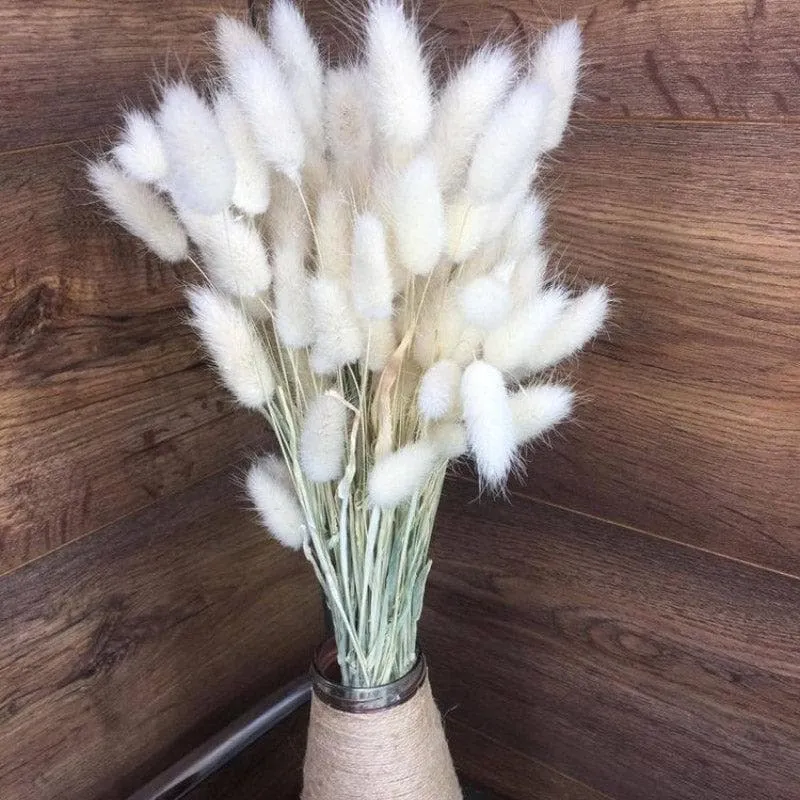 Naturally Dried Bunny Tail Stems (White) - Set Of Thirty media 4