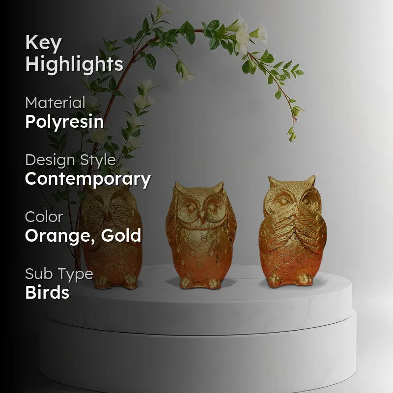 Wise Hoot Showpiece media 2