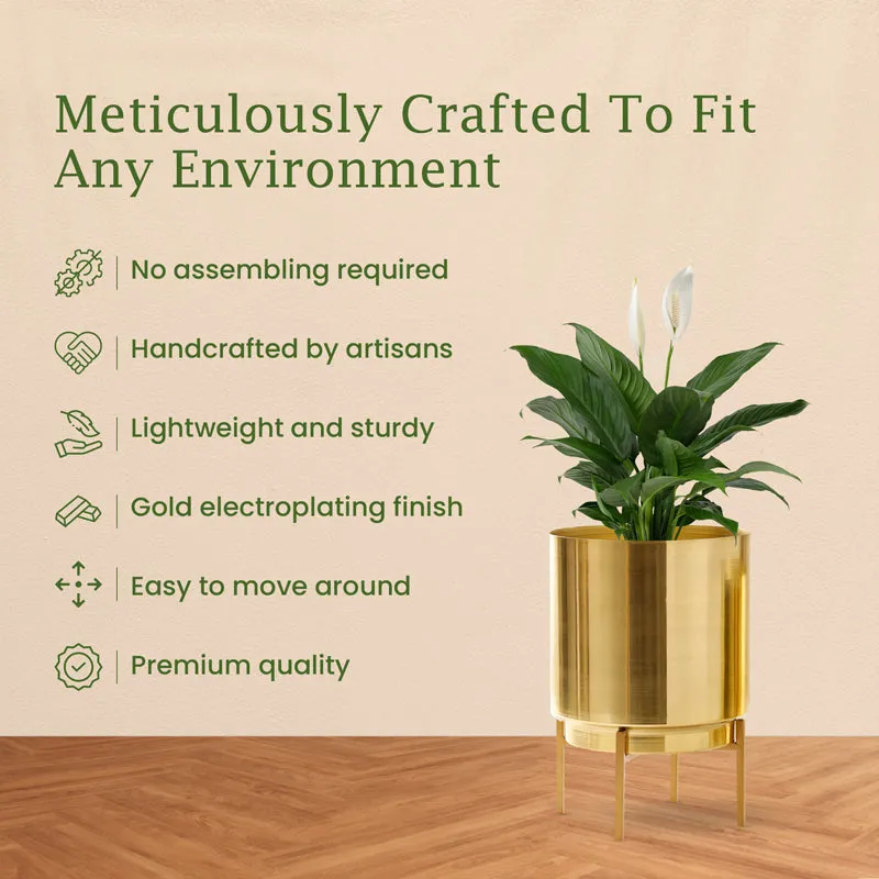 Root Rise Ember Golden Planter With Stand media 2