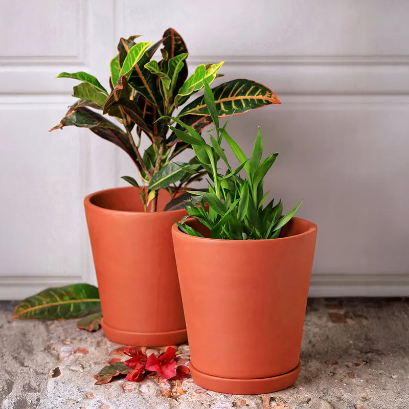 Clay Haus Terracotta Planter - Set Of Two - 2