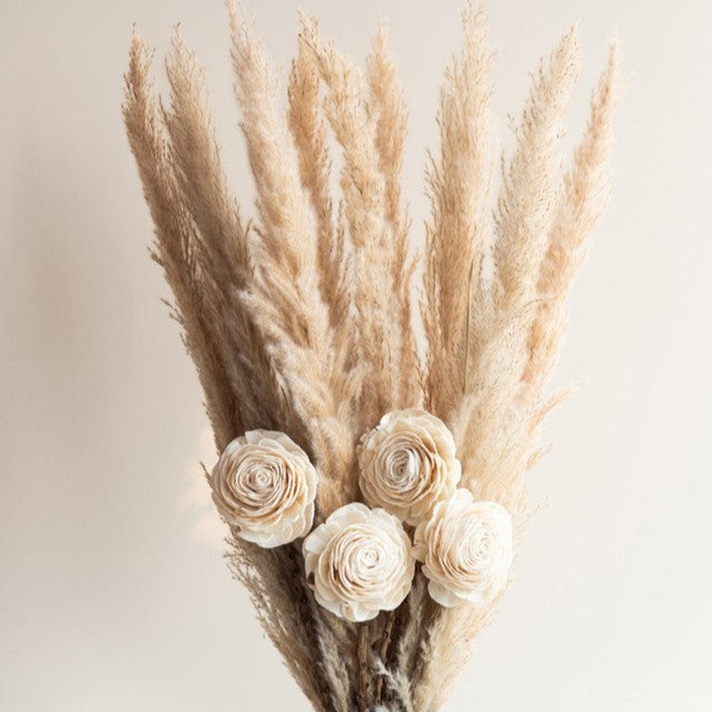 Sittora Pampas Bunch (Beige) - Set Of Fourteen media 4