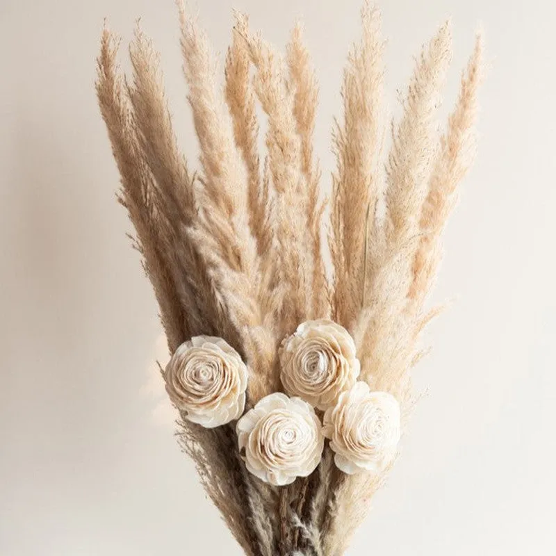 Sittora Pampas Bunch (Beige) - Set Of Fourteen media 4