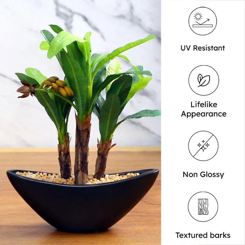 Faux Banana Artificial Bonsai In Bowl Black Plastic Pot - 28 cms media 4