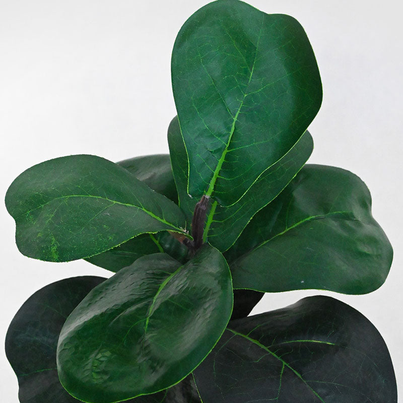 Faux Everlasting Fiddle Leaf Fig Plant With Black Plastic Pot - 28 cm media 4