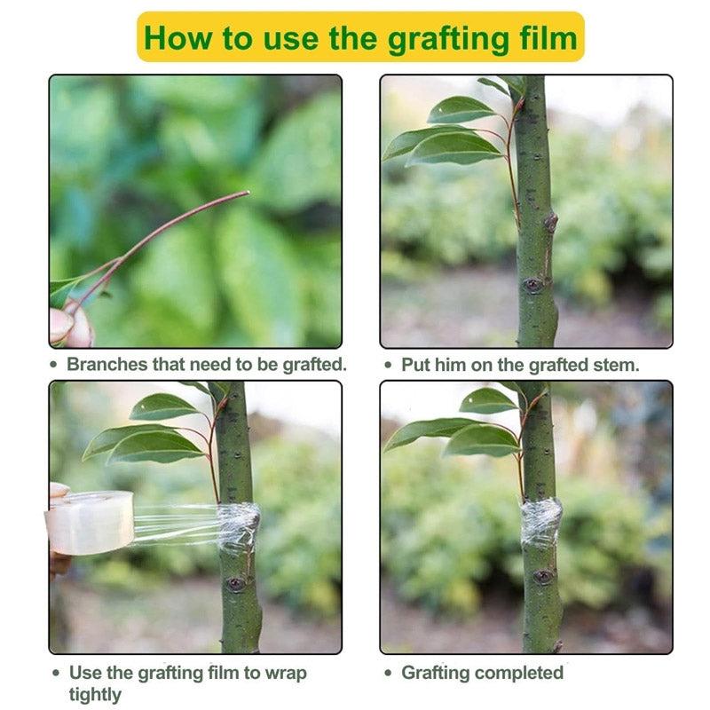 Sticky Plant Tape media 7