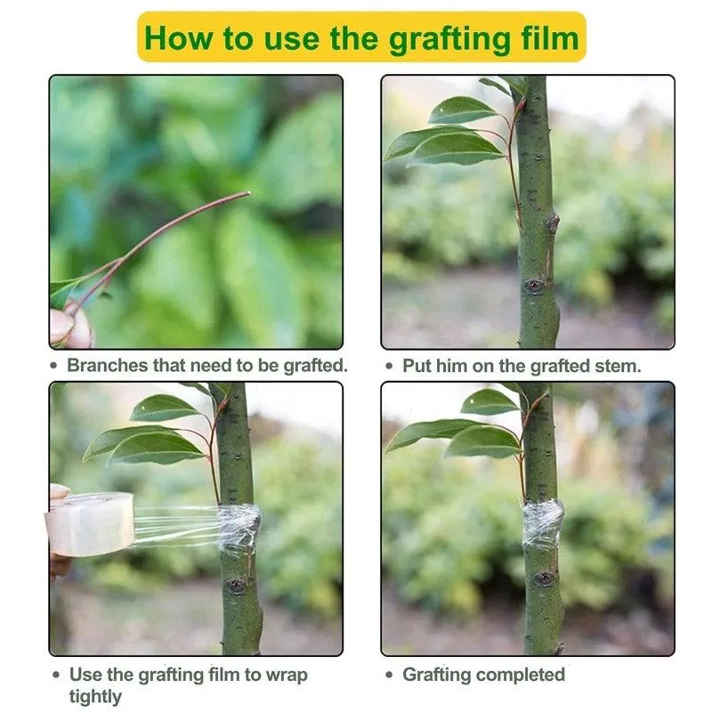 Sticky Plant Tape media 7
