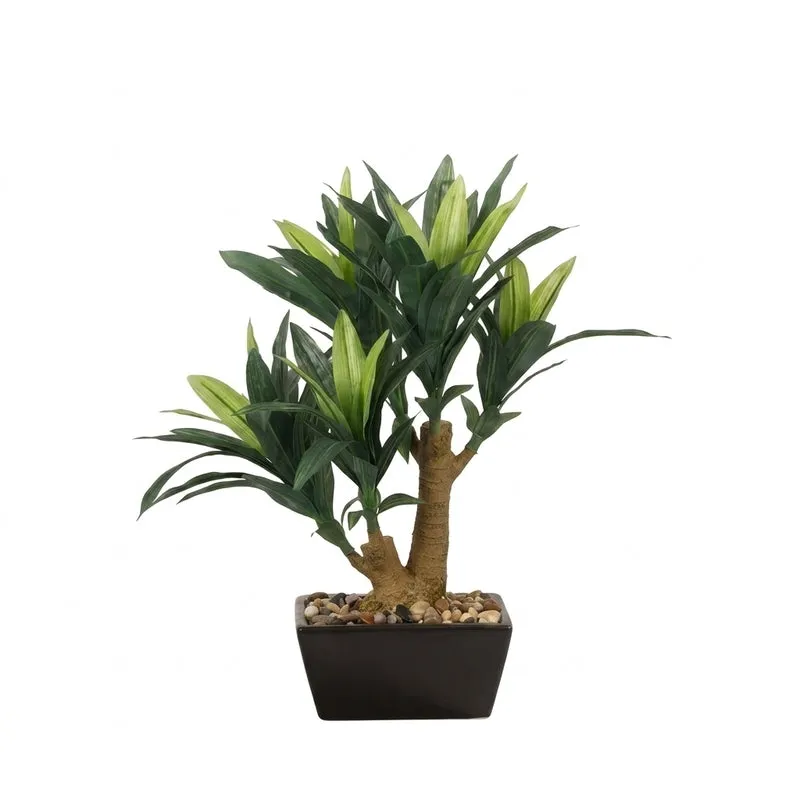 Faux Dracaena Bonsai In Ceramic Pot - 41 cms media 5