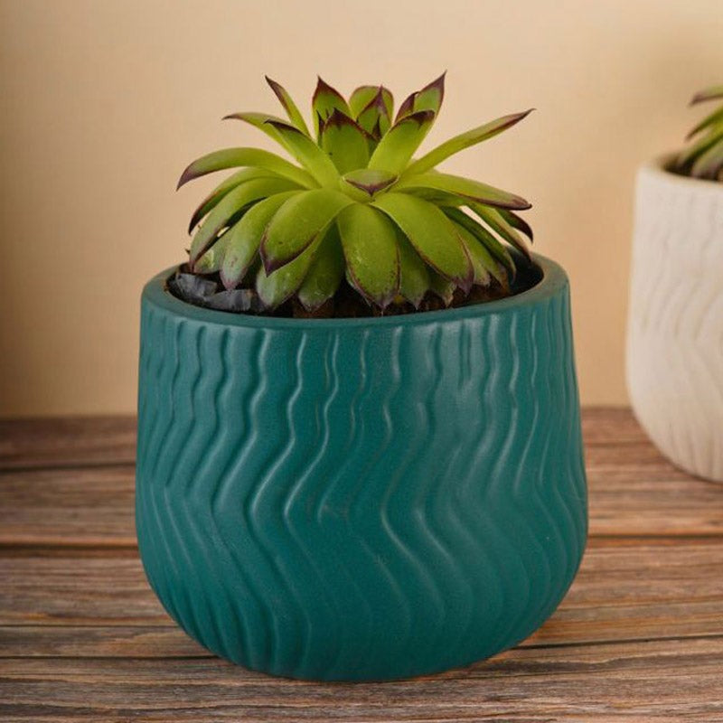 Plateo Wave Planter (Teal & White) - Set Of Two media 4