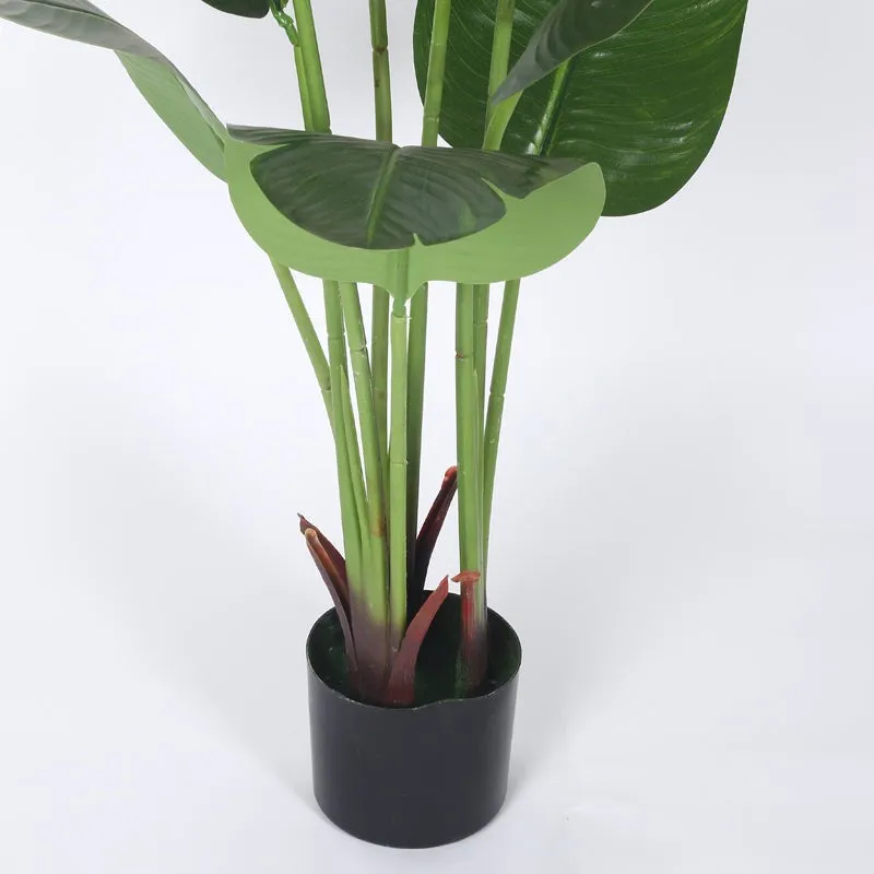 EverFresh Banana Plant With Black Fiber Pot - 3.6 Feet media 8