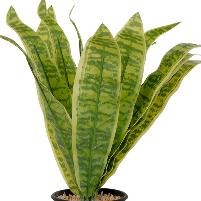 Everine Artificial Snake Plant With Black Plastic Pot - 1.25 Feet media 3