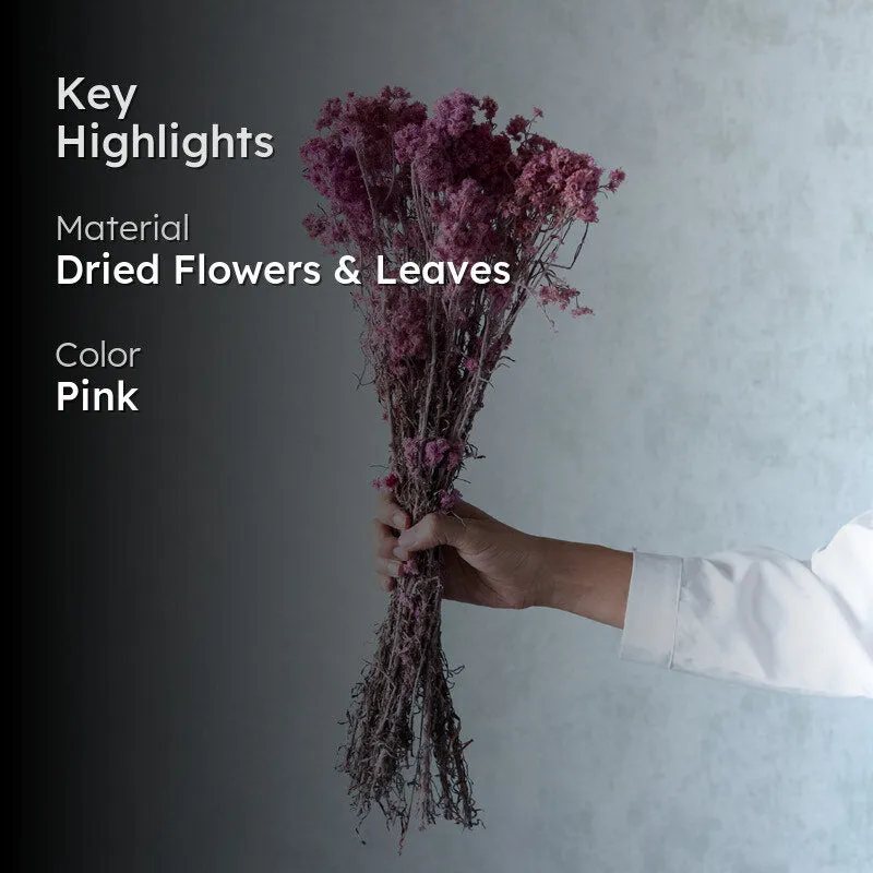 Gypso Glam Dried Flower Bunch - Pink media 2