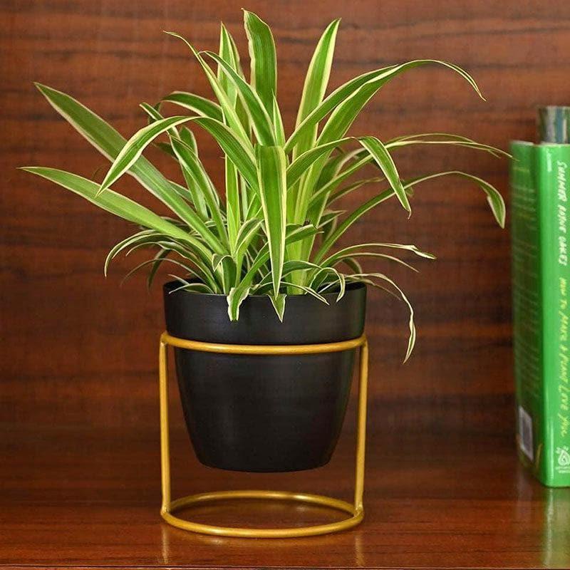 Ugaoo Nyx Floor Metal Planter - Black media 2