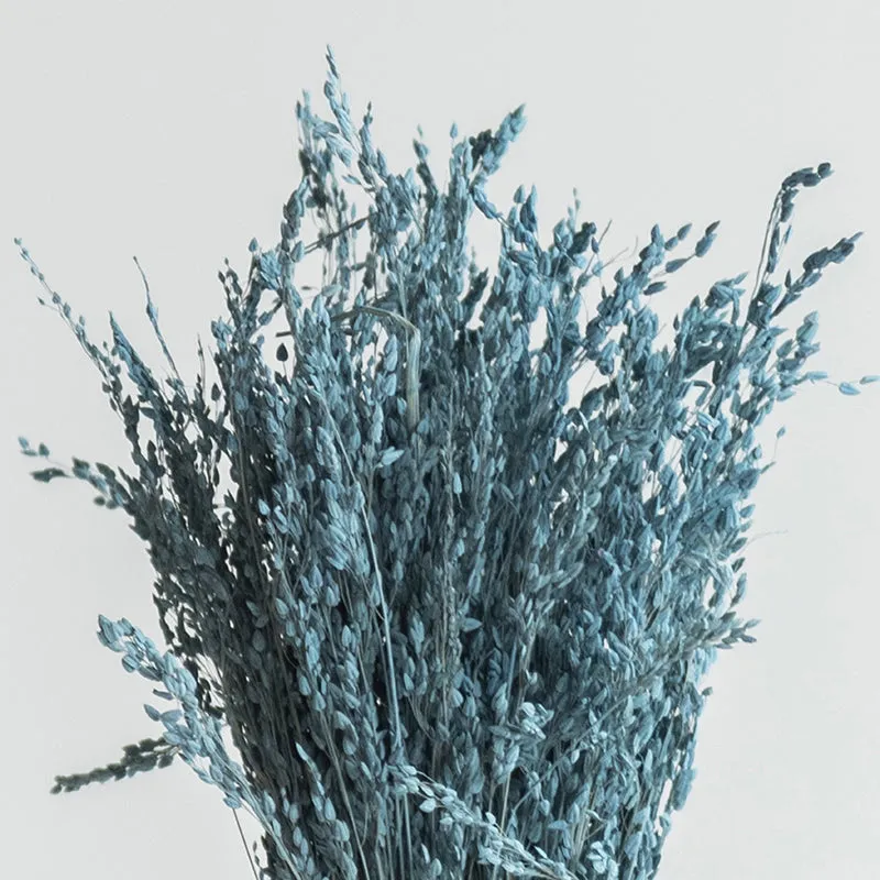 Botanibare Dried Grass media 3
