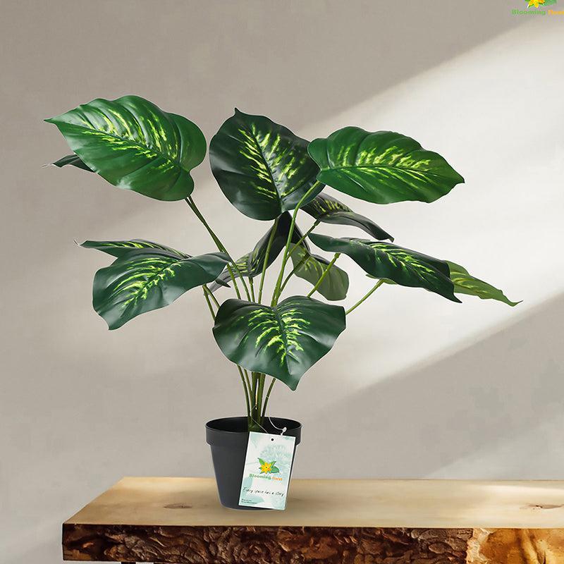 Faux Everlasting Philodendron Plant With Black Plastic Pot - 58 cm media 3