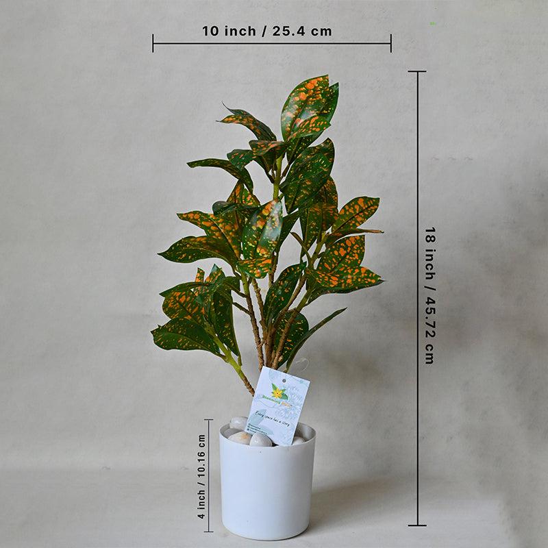 Faux Everlasting Dracaena surculosa Plant With Pot - 46 cm media 5