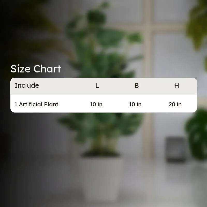 Faux Pothos Bonsai In Cone Pot (50 cms) - Big media 5