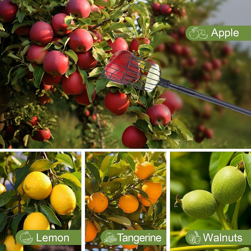 Pick Pro Fruit Picker - Black media 8