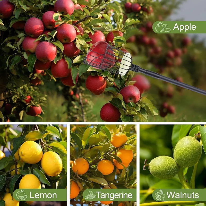 Pick Pro Fruit Picker - Black media 8
