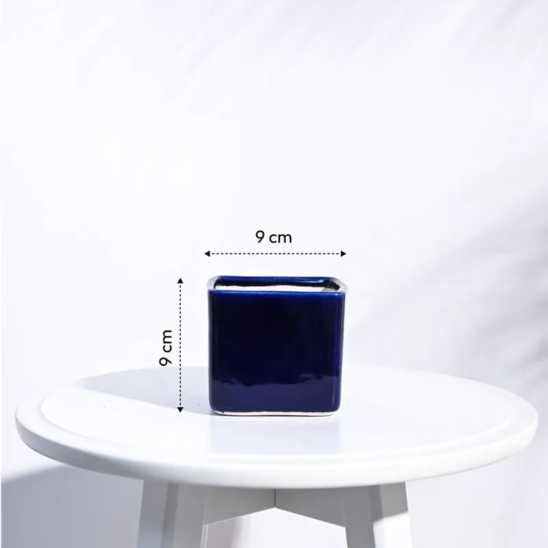Ugaoo Square Blue Ceramic Pot media 6