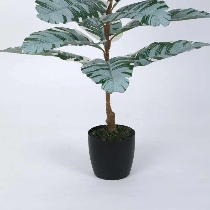 Faux White Calathea Plant With Black Plastic Pot - 2.46 ft media 4